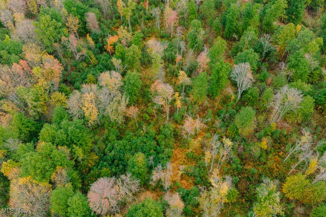 Township/Milton - Land