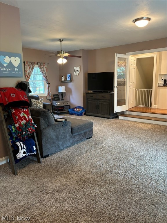 Procheska Rolling Acres 01 - Residential