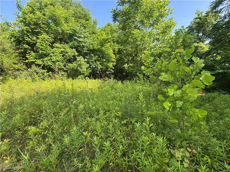 15.018 Acres | Pierson Lane, McConnelsville, OH

Discover the perfect blend of privacy and potential with this 15.018-acre parcel tucked just off Greer Road on peaceful Pierson Lane. Mostly wooded, this beautiful property offers a rare opportunity for those seeking room to build, explore, and enjoy the outdoors.

With electric available at the road and a nice building site, it’s ready for your dream home, cabin retreat, or recreational getaway. Whether you’re a nature lover, hunter, or simply looking for room to roam, this land offers endless possibilities—hiking, hunting, or just soaking in the serene surroundings.

Large tracts like this are hard to find, especially with the combination of seclusion and accessibility. Don’t miss your chance to own a piece of paradise in Morgan County!

 Location: Pierson Lane, McConnelsville

Acreage: 15.018 acres

Utilities: Electric available

Topography: Mostly wooded with a usable building site

Ideal for: Homesite, hunting, recreation, or weekend escape