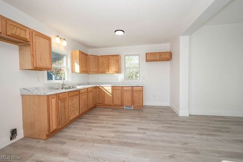 Tiny photo for 385 Park Avenue, East Palestine, OH 44413 (MLS # 5161510)