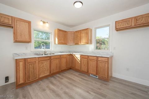 Tiny photo for 385 Park Avenue, East Palestine, OH 44413 (MLS # 5161510)