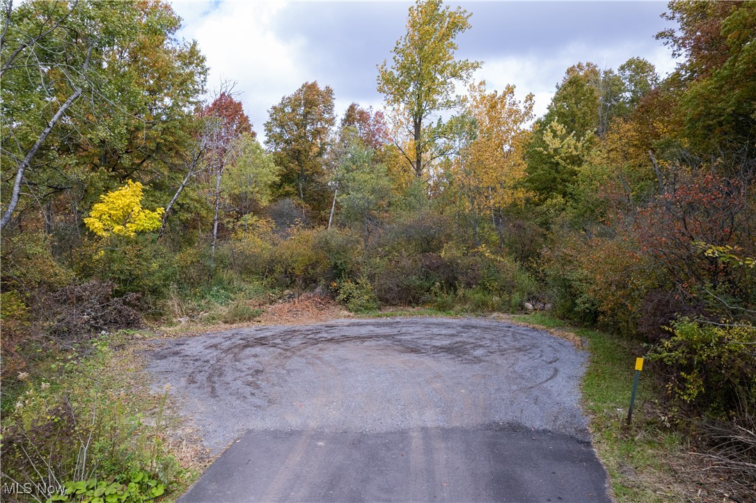 Taylor Avenue, Girard, Ohio image 32