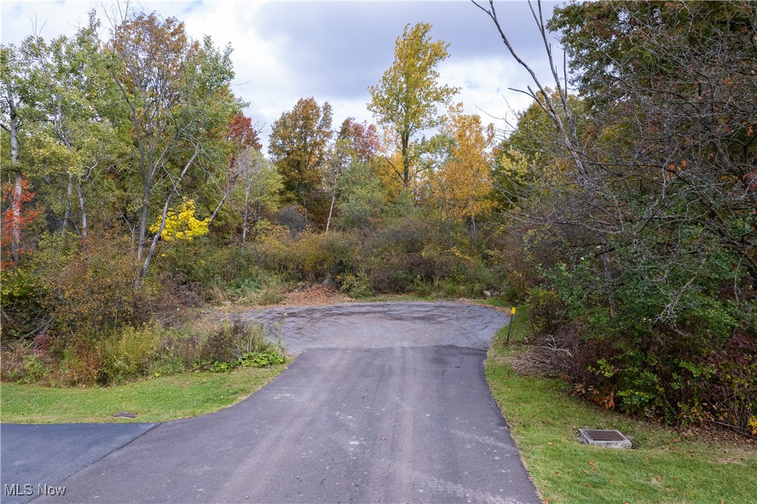 Taylor Avenue, Girard, Ohio image 31