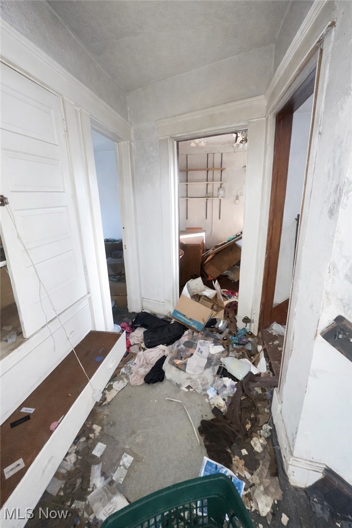 Carlyon Allotment 02 - Residential