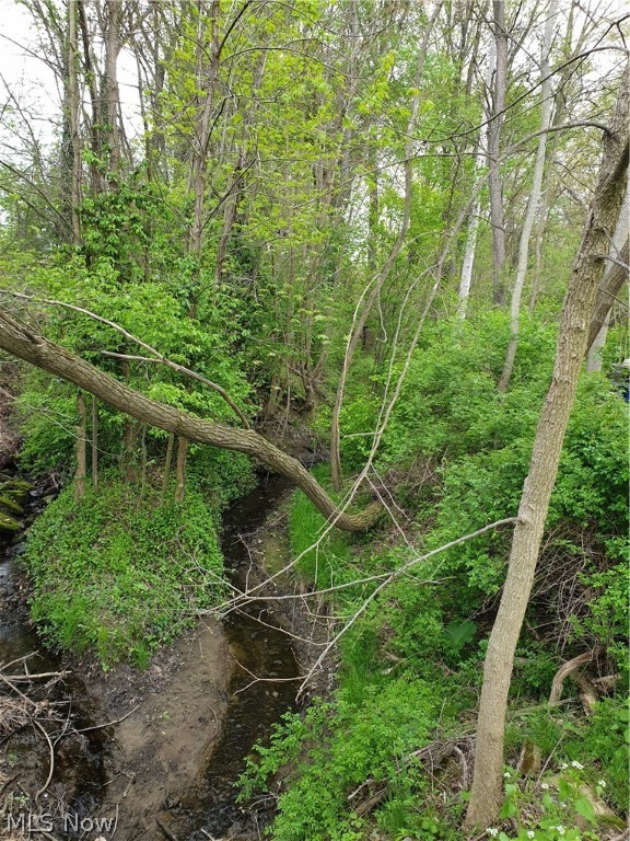 Trumbull Woods - Residential