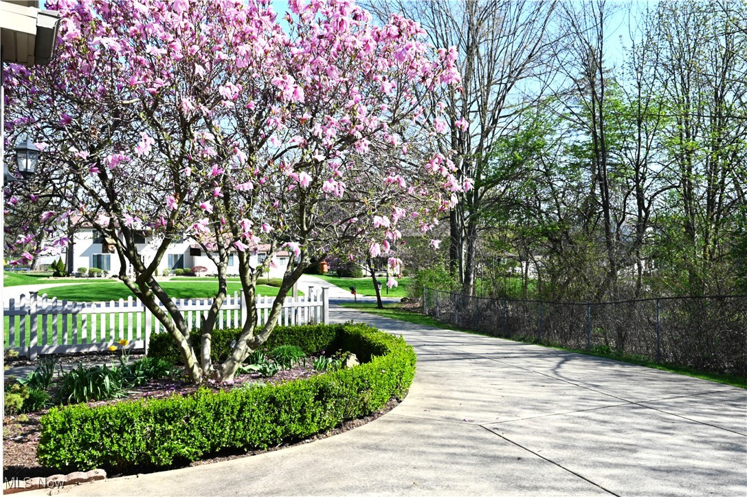 3647 Sperone Drive, Canfield, Ohio image 12
