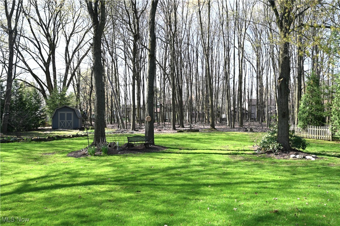 3647 Sperone Drive, Canfield, Ohio image 7