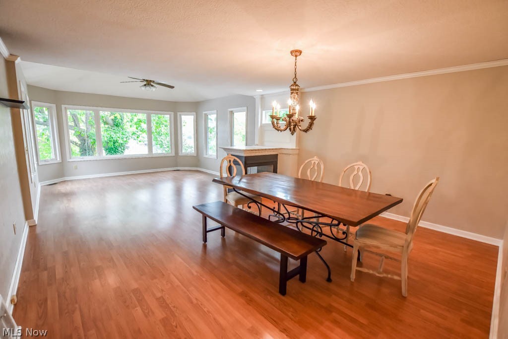 Willowdale Lake - Residential