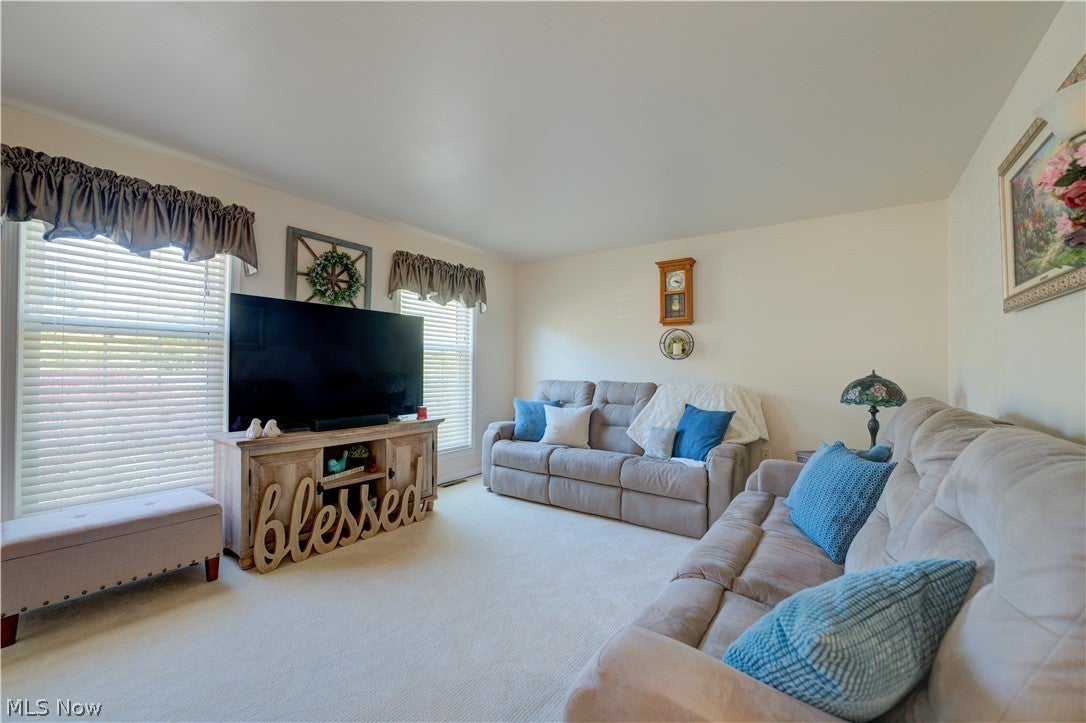6008 Conneaut Light Drive