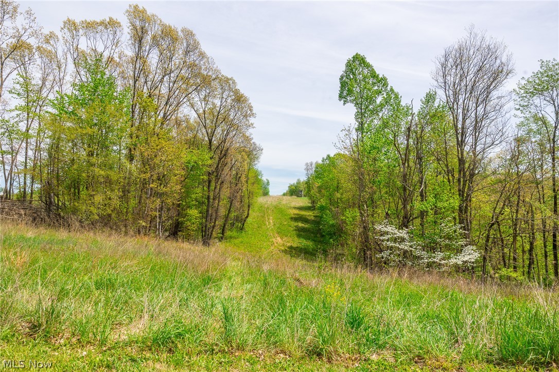 6268 Kings Ridge Road