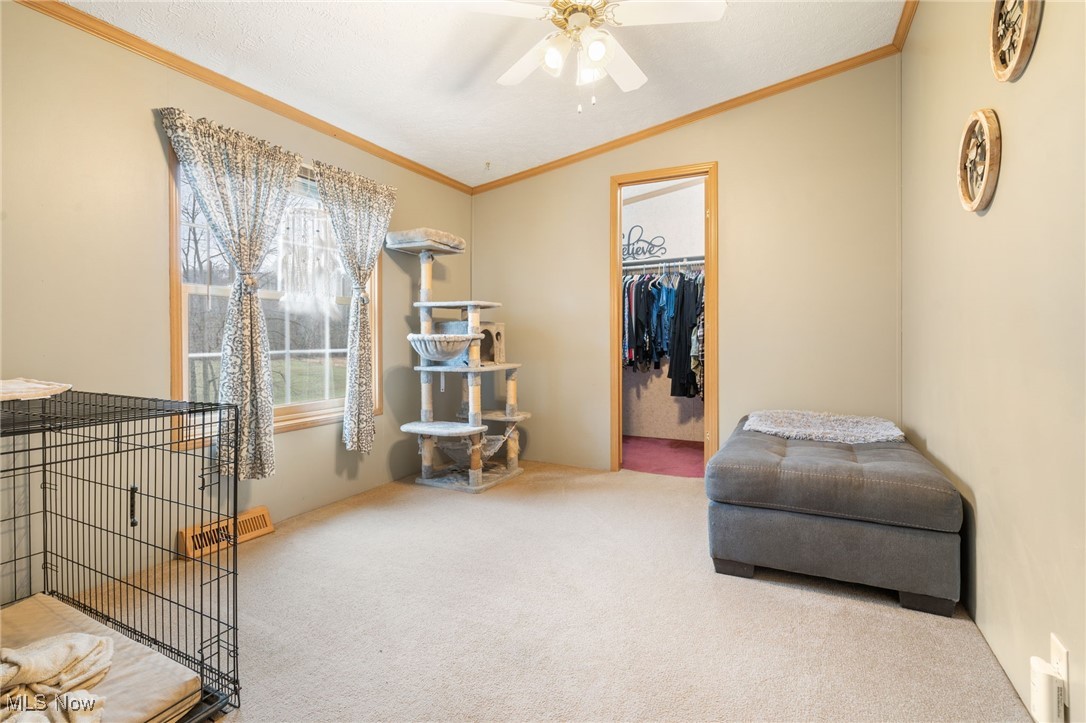 53690 Township Road 178, Fresno, Ohio image 14