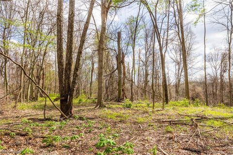 Vacant Land For Sale - 105 W Hanley Road<br/> Richland County, Mansfield, OH 44904