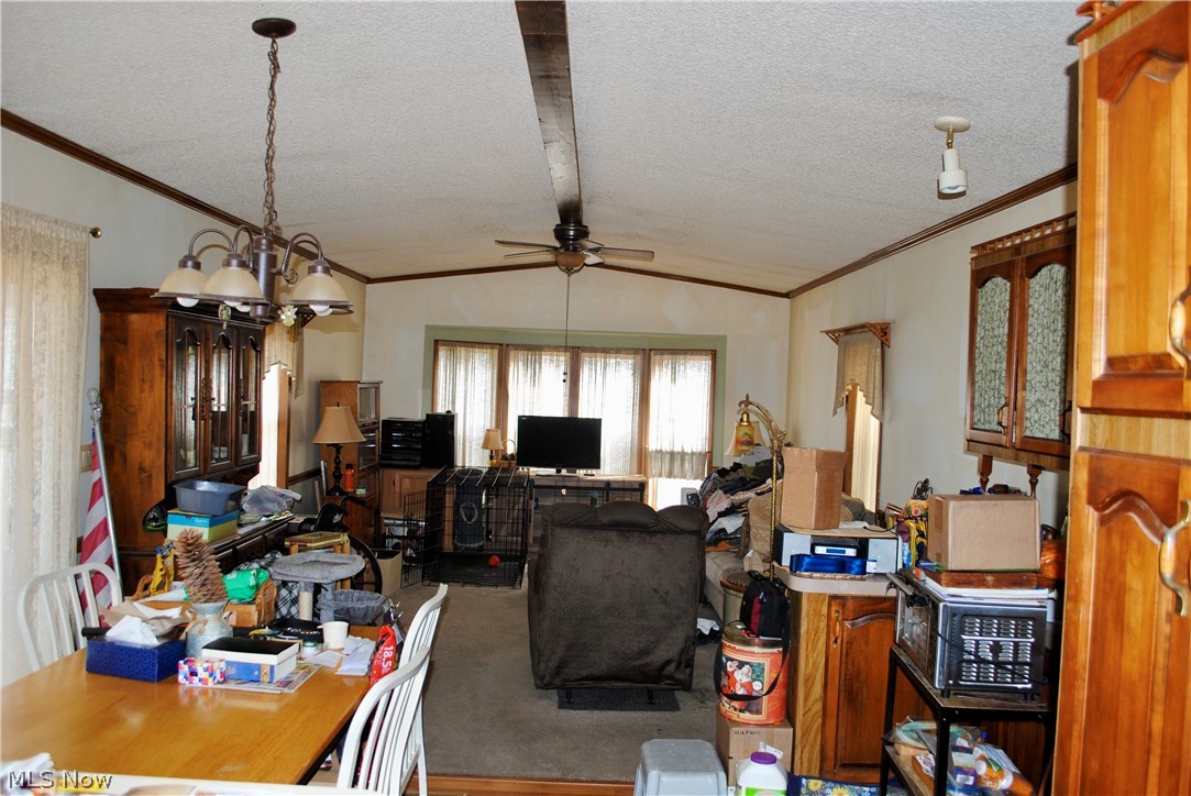 Whole/Medina City - Residential