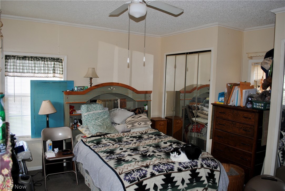 Whole/Medina City - Residential