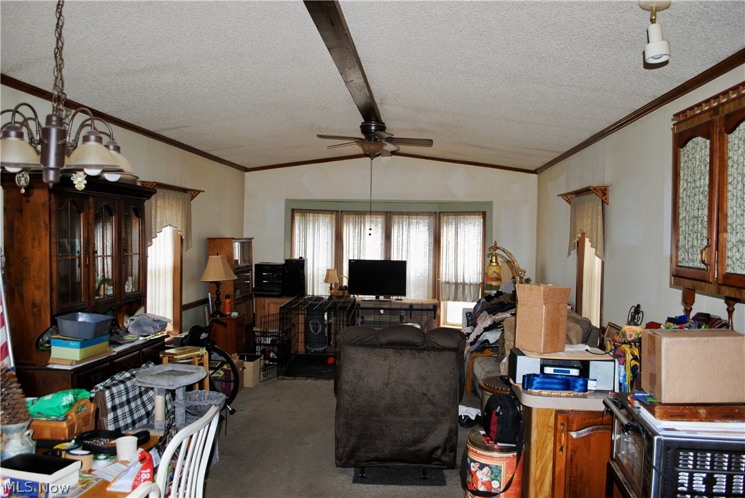 Whole/Medina City - Residential