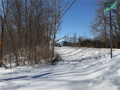 Vacant Land For Sale - Old Weymouth Road<br/> Medina, OH 44256