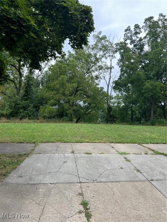Nice city lot. Once a family home, which was removed.