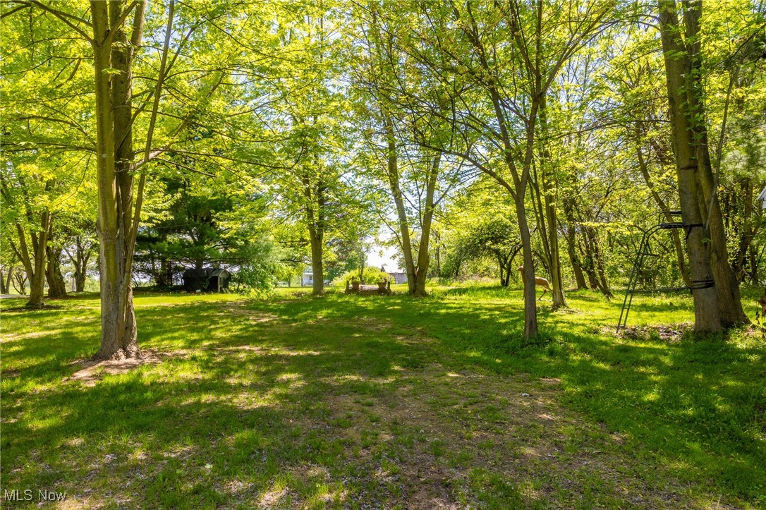 12793 New London Eastern Road, Spencer, Ohio image 29