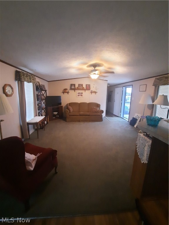 US Military Lands/Jackson - Residential