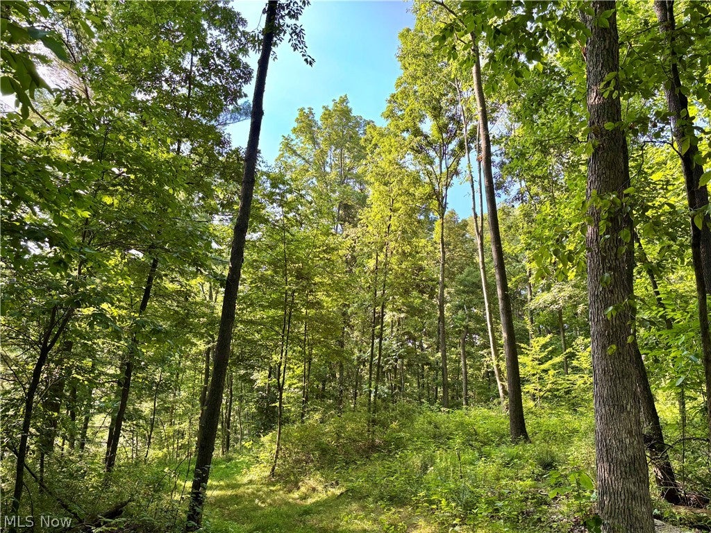 5620 Township Road 212