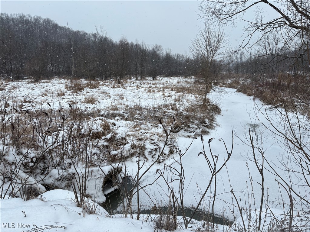 6990 Crane Run Road, Pleasant City, Ohio image 16