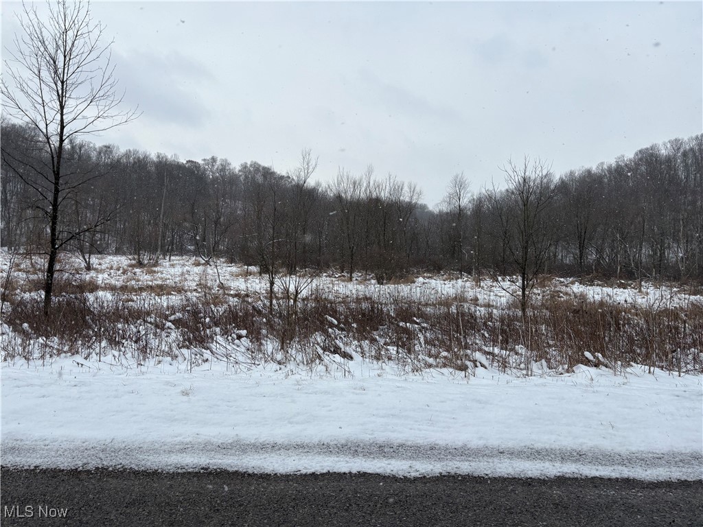 6990 Crane Run Road, Pleasant City, Ohio image 30