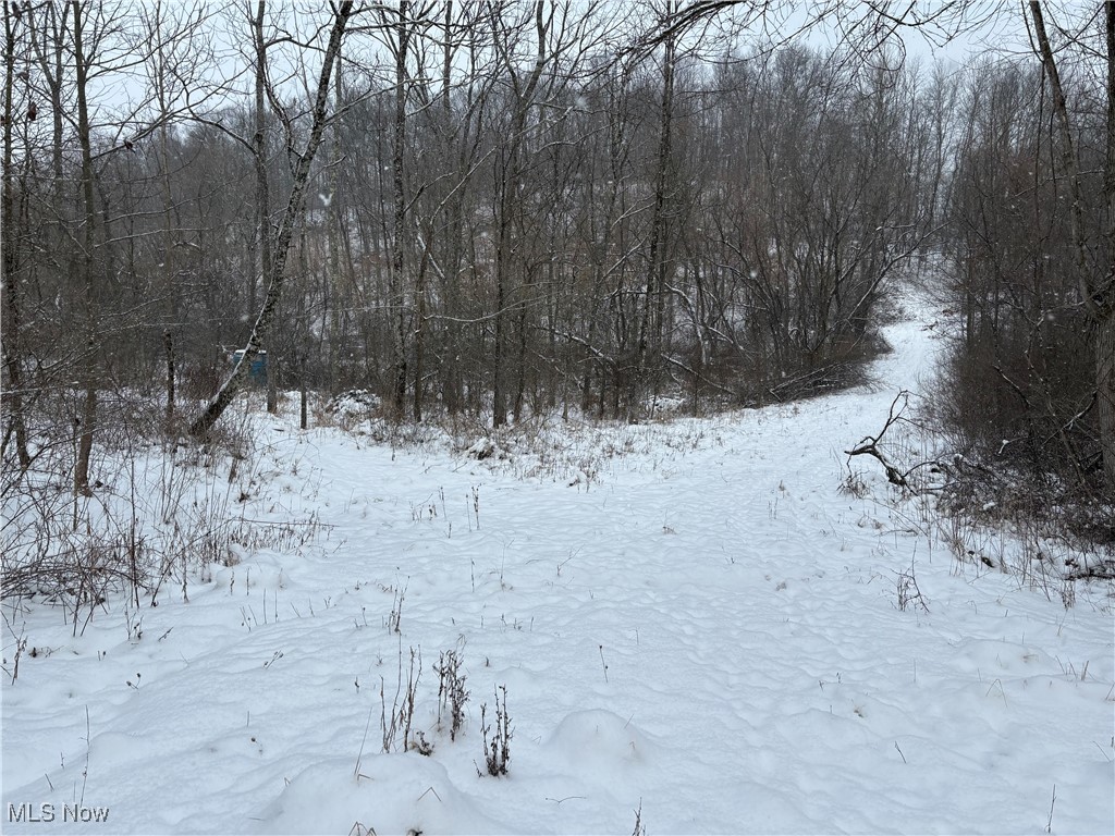 6990 Crane Run Road, Pleasant City, Ohio image 19