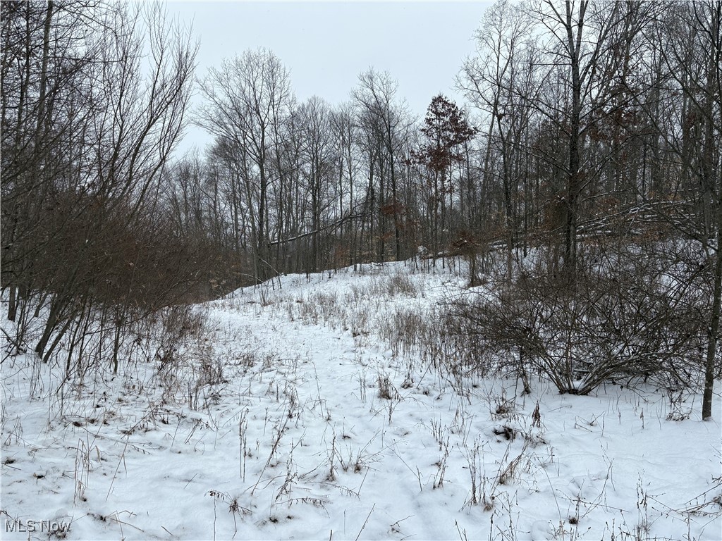 6990 Crane Run Road, Pleasant City, Ohio image 22