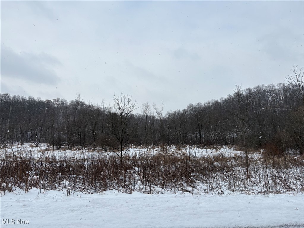 6990 Crane Run Road, Pleasant City, Ohio image 31