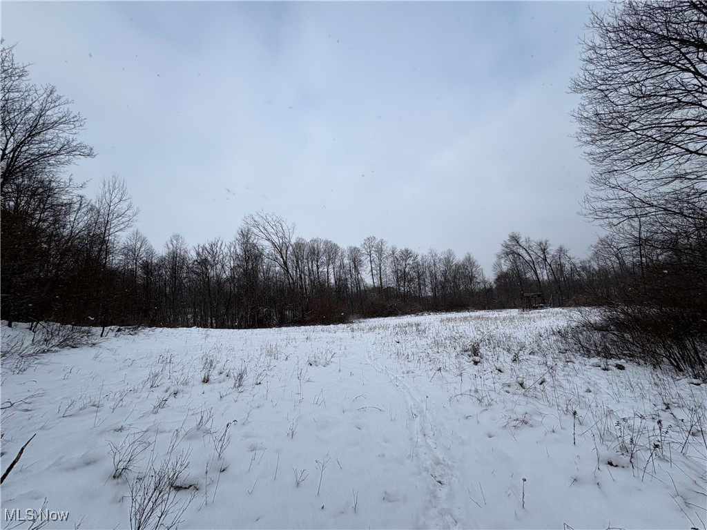 6990 Crane Run Road, Pleasant City, Ohio image 14
