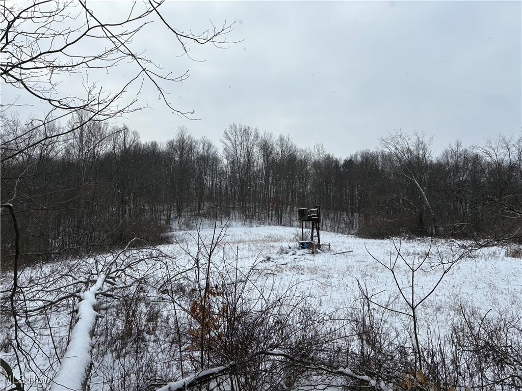 6990 Crane Run Road, Pleasant City, Ohio image 13