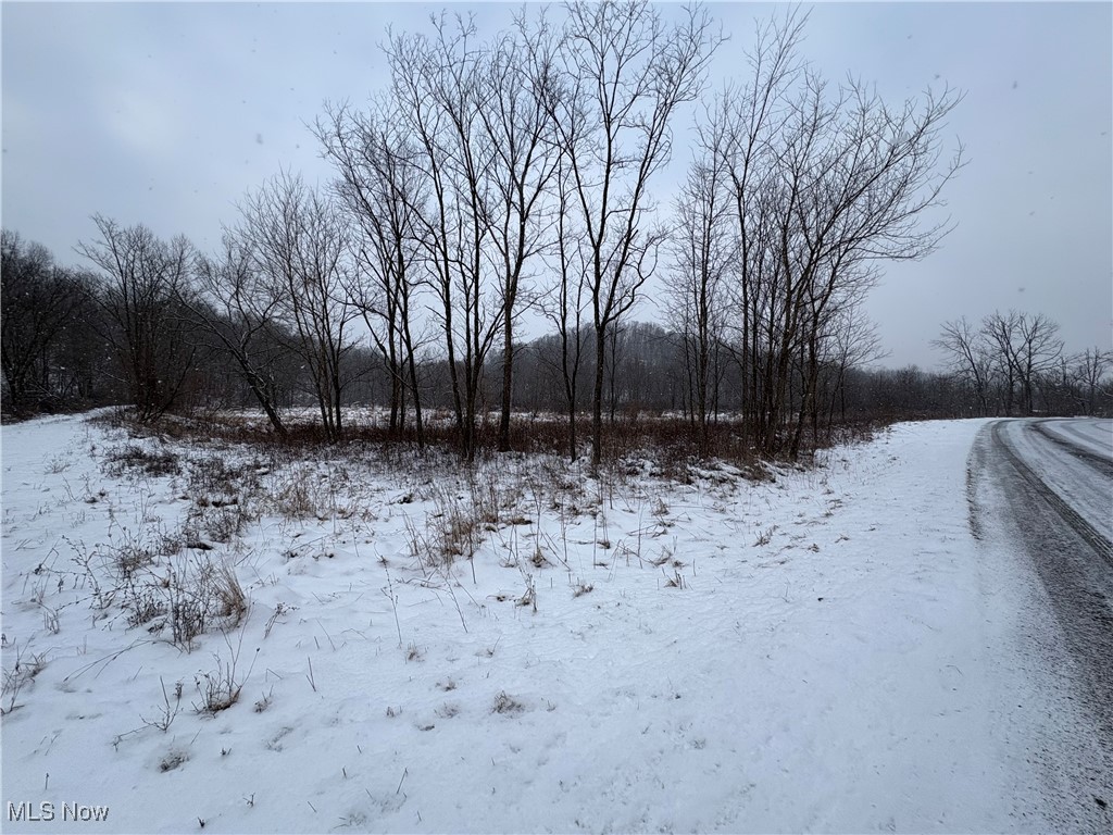 6990 Crane Run Road, Pleasant City, Ohio image 3