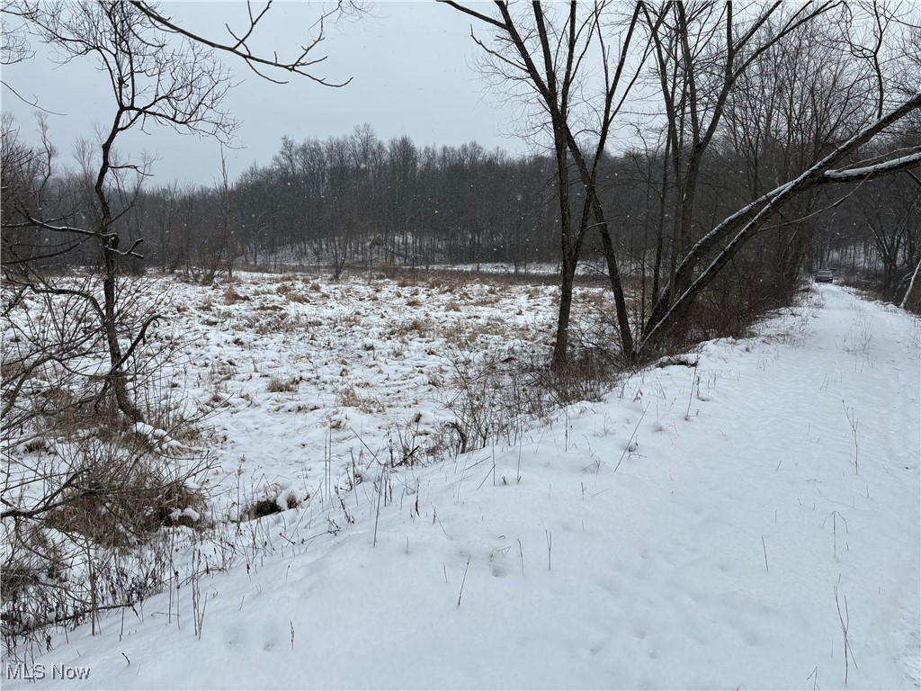 6990 Crane Run Road, Pleasant City, Ohio image 17