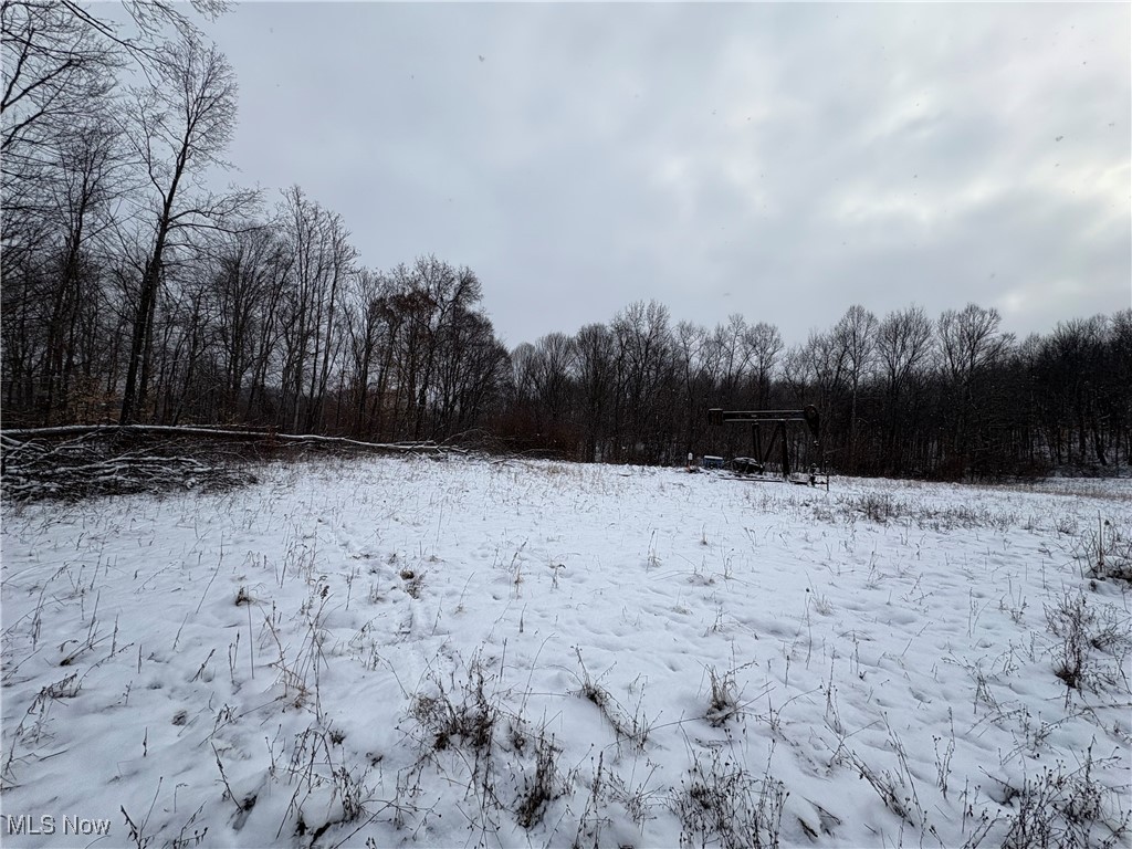 6990 Crane Run Road, Pleasant City, Ohio image 12