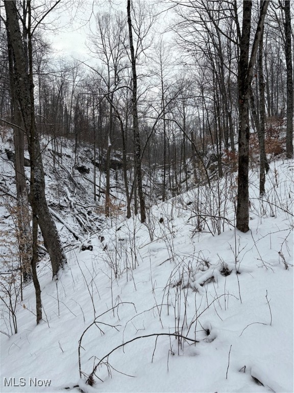 6990 Crane Run Road, Pleasant City, Ohio image 27