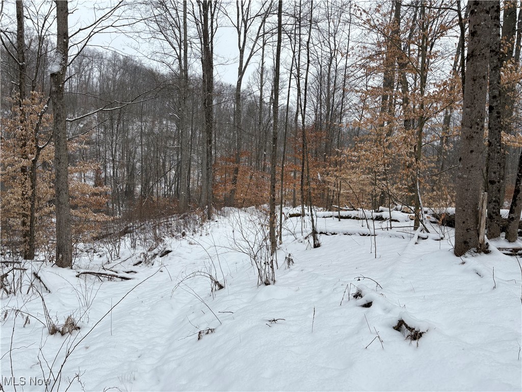 6990 Crane Run Road, Pleasant City, Ohio image 28