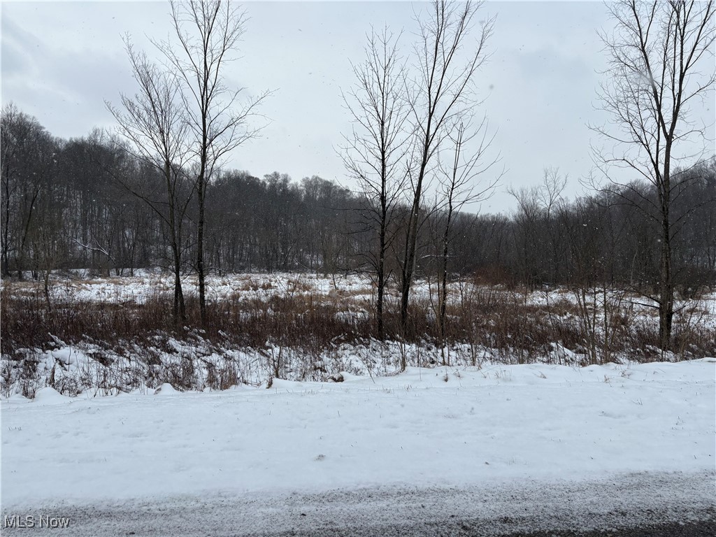 6990 Crane Run Road, Pleasant City, Ohio image 29