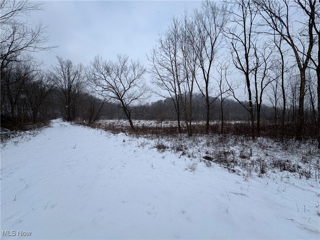 6990 Crane Run Road, Pleasant City, Ohio image 2