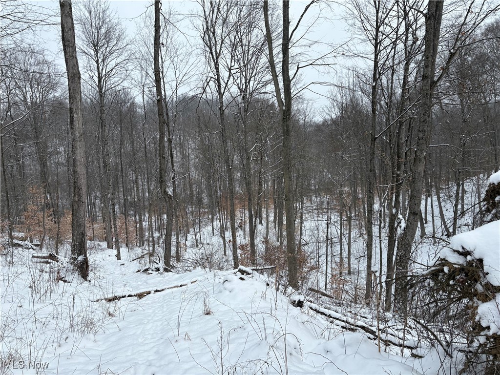 6990 Crane Run Road, Pleasant City, Ohio image 25