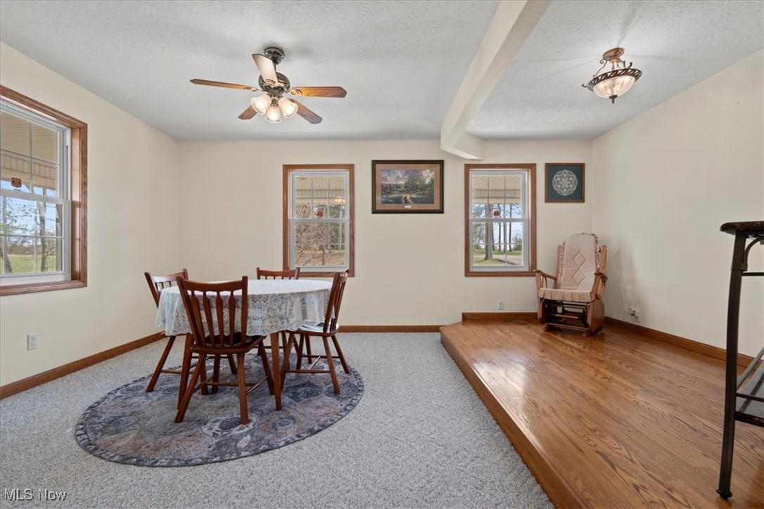 5481 N Torch Road, Coolville, Ohio image 14