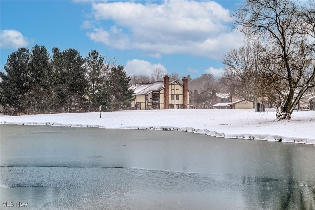 Copley Village Condo - Residential