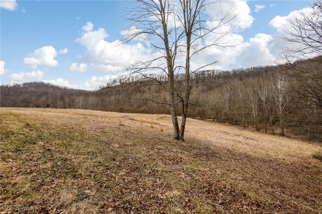 39885 Road Fork Road, Caldwell, Ohio image 21