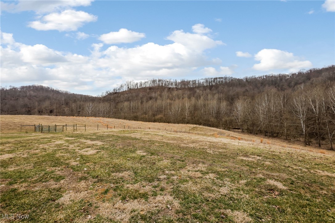 39885 Road Fork Road, Caldwell, Ohio image 23