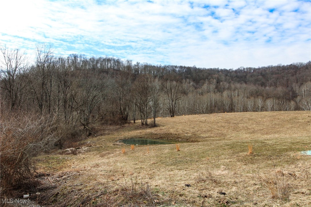 39885 Road Fork Road, Caldwell, Ohio image 25