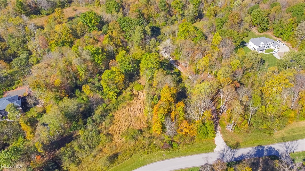 Dream Estates - Land