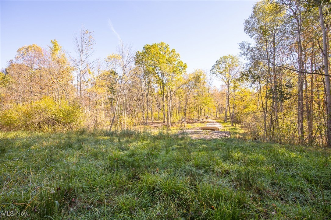 Dream Estates - Land