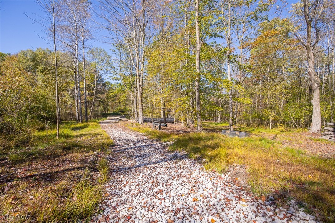 Dream Estates - Land