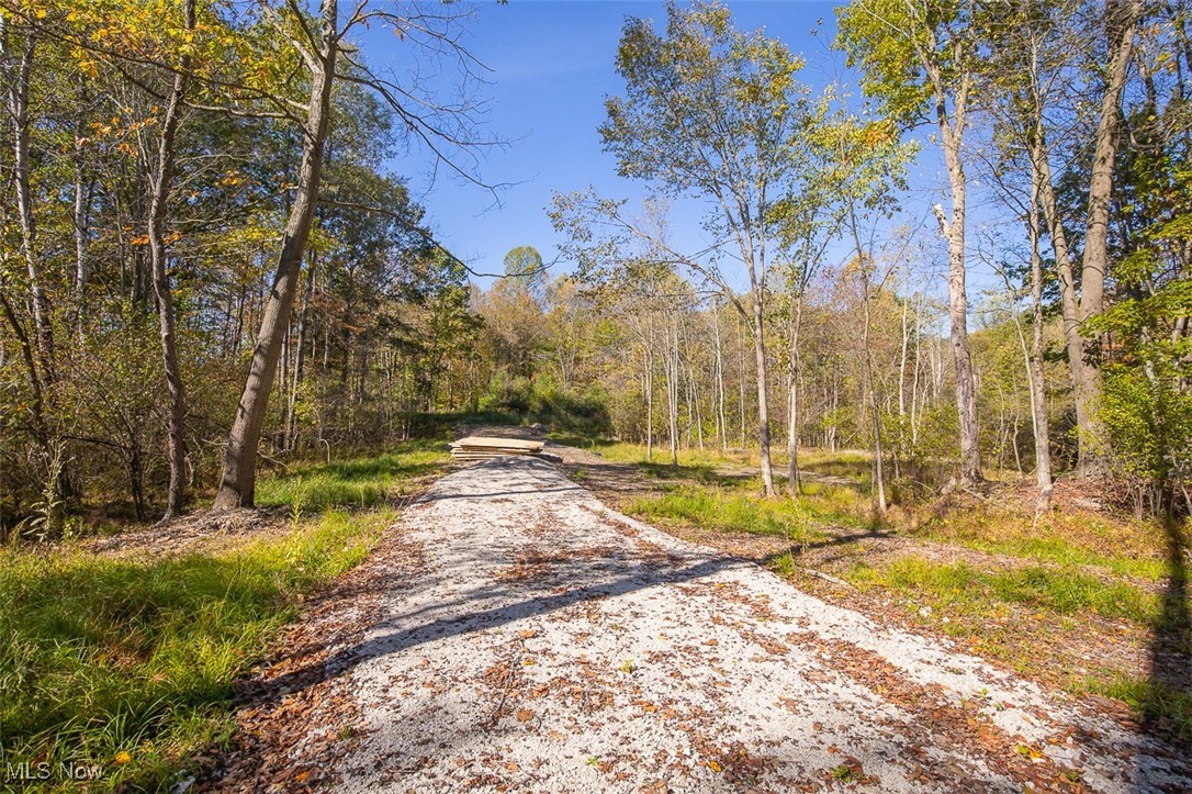 Dream Estates - Land