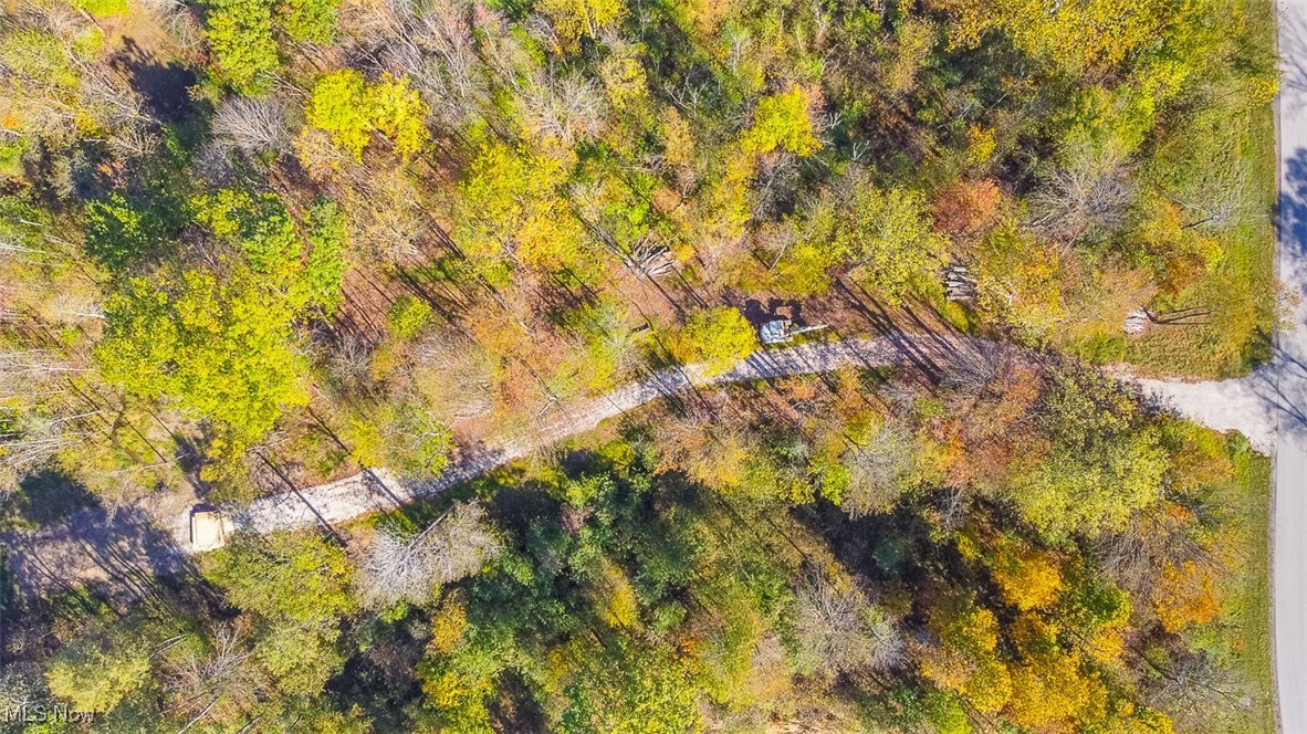 Dream Estates - Land