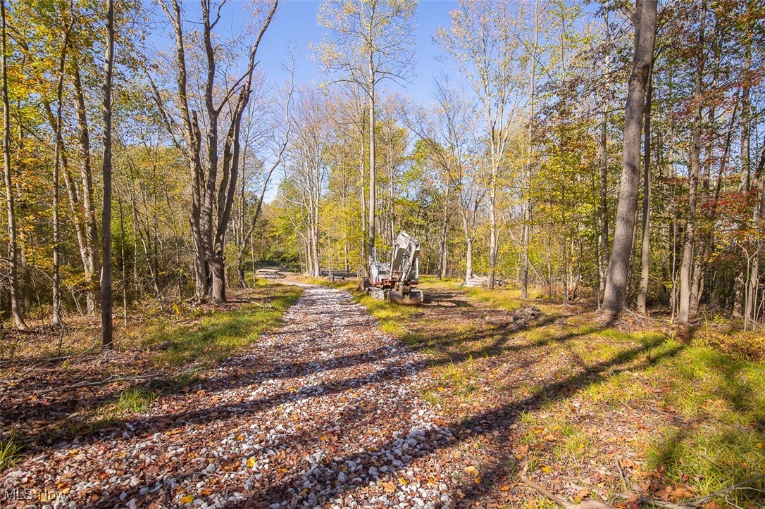 Dream Estates - Land